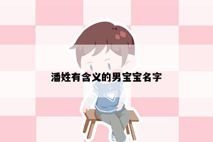 潘姓有含义的男宝宝名字